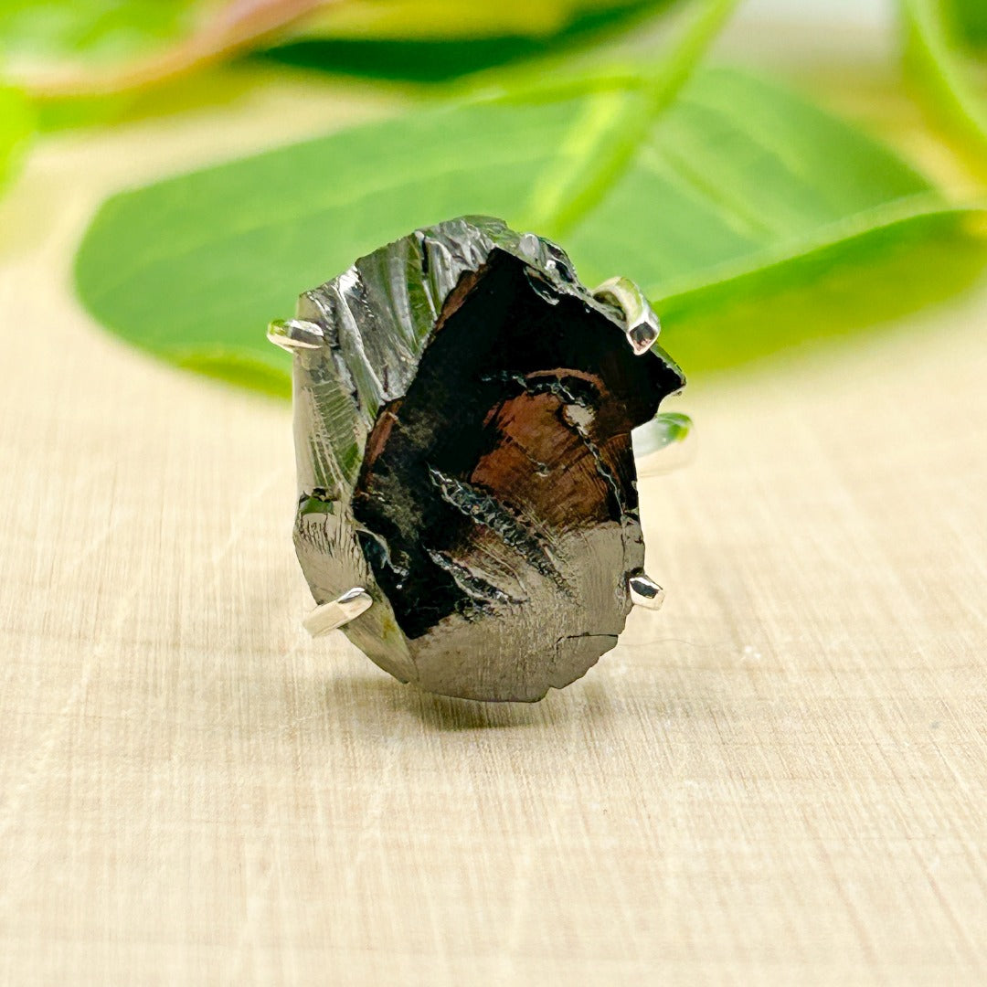 Shungite Elite Sterling Silver Ring Size 5.5 ( 326996 )
