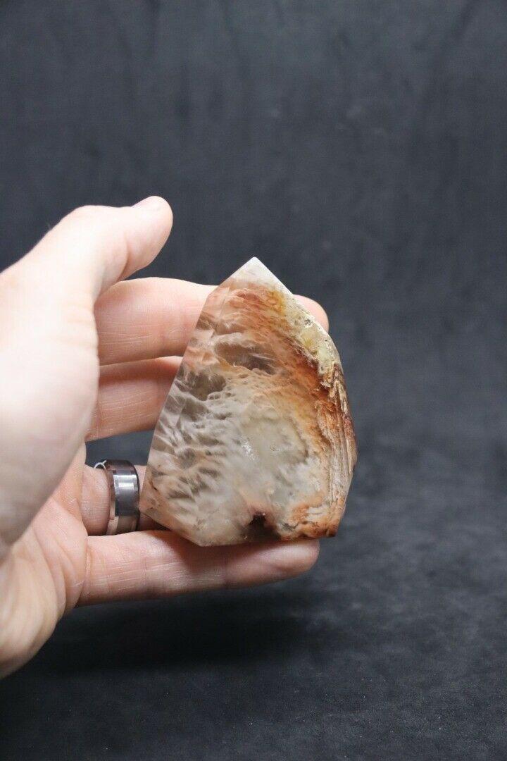 Amphibole Phantom Polished Quartz Display Piece~ ( 19215)