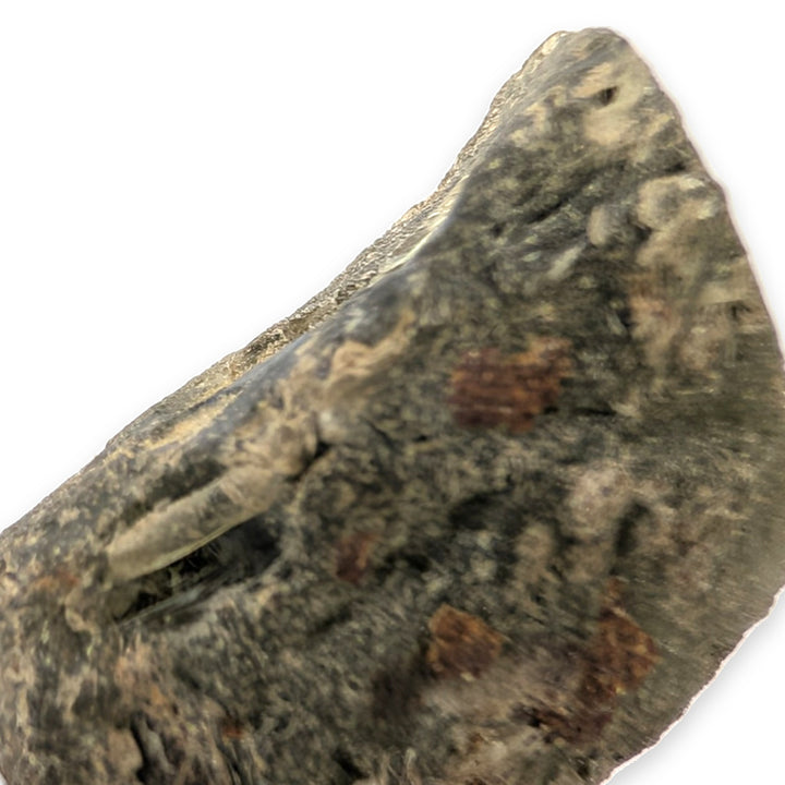 Moldavite Tektite Specimen 2.7g Raw Textured Czech Glass