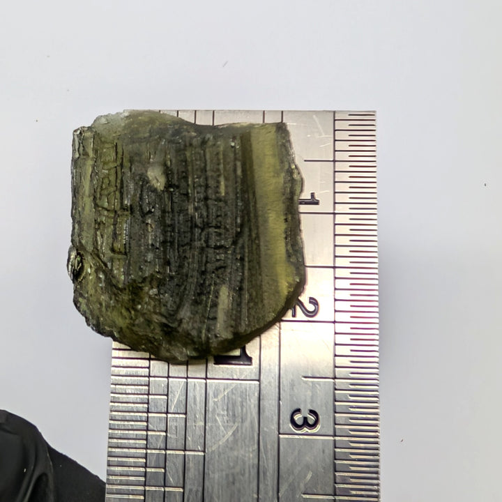 Moldavite Tektite Specimen 4.7g Raw Sculpted Grooved Czech Glass