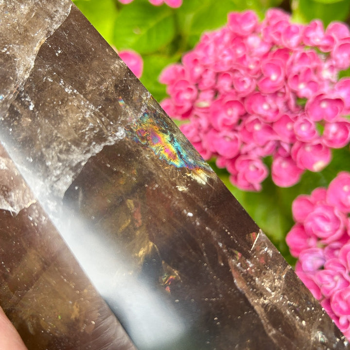 Smoky Quartz Crystal Point Generator Rainbow Inclusions  ( 1 )