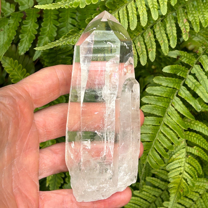 Lemurian Seed Quartz Crystal ( 1 )