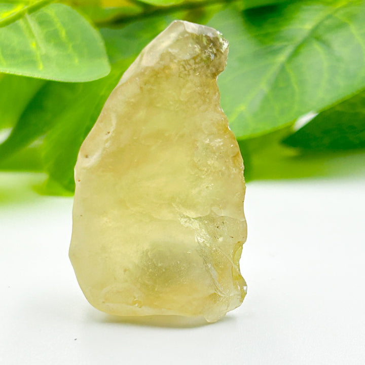 Libyan Desert Glass Meteorite Tektite 20gm ( 30 )