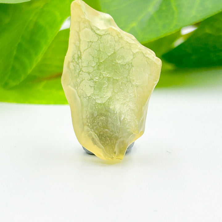 Libyan Desert Glass Meteorite Tektite 10gm ( 35 )